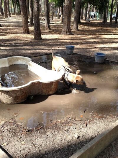 Herty Pines Dog Park - Savannah, GA