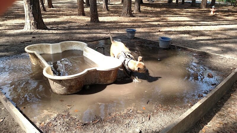 Herty Pines Dog Park - Savannah, GA