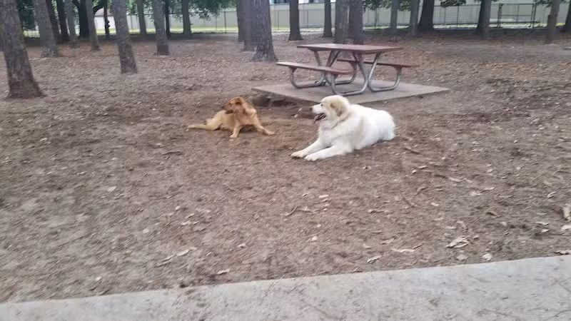 Herty Pines Dog Park - Savannah, GA