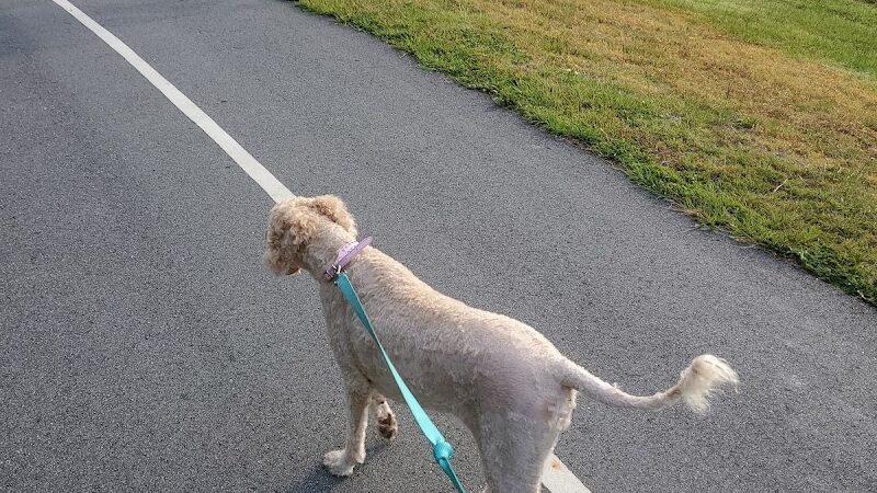Mohawk Dog Park - Savannah, GA