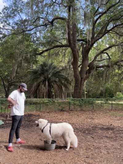 Windsor Forest Dog Park - Savannah, GA
