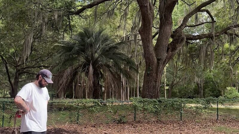 Windsor Forest Dog Park - Savannah, GA