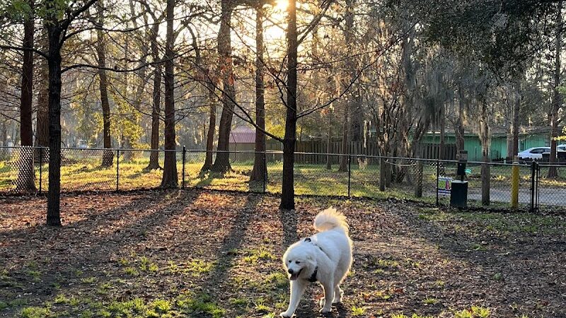Windsor Forest Dog Park - Savannah, GA