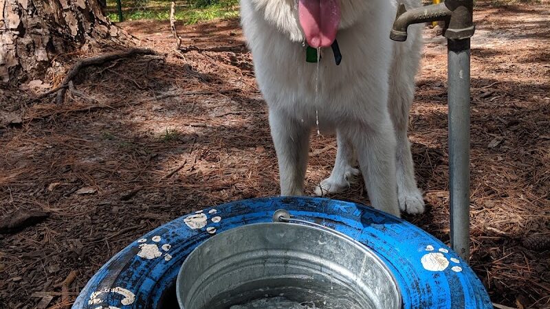 Windsor Forest Dog Park - Savannah, GA