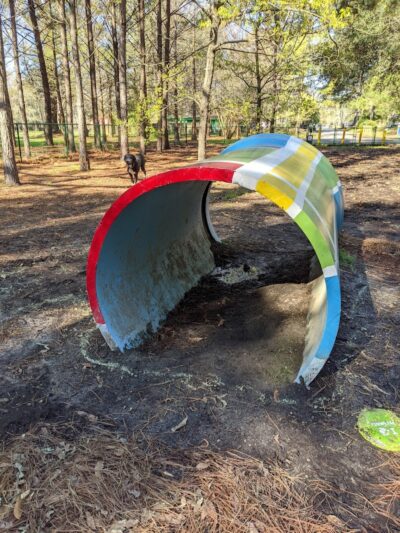 Windsor Forest Dog Park - Savannah, GA