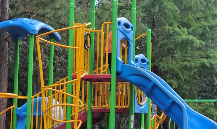 Windsor Forest Dog Park - Savannah, GA