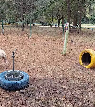 Windsor Forest Dog Park - Savannah, GA