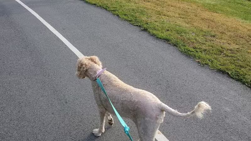 Mohawk Dog Park - Savannah,