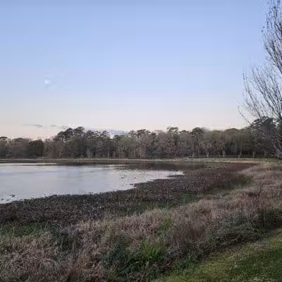 Mohawk Dog Park - Savannah,