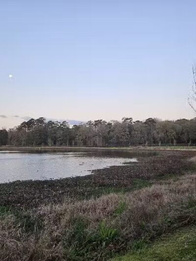 Mohawk Dog Park - Savannah,