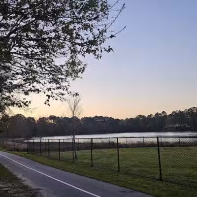 Mohawk Dog Park - Savannah,