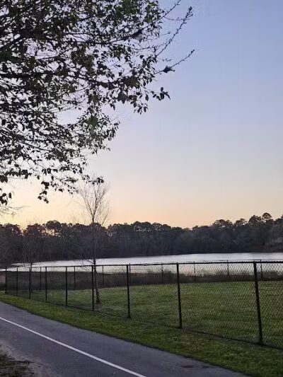 Mohawk Dog Park - Savannah,