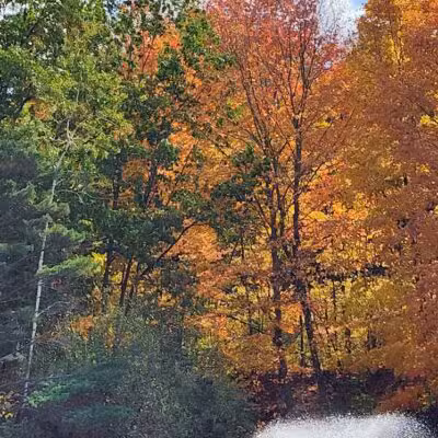 Harbert Community Park - Sawyer,