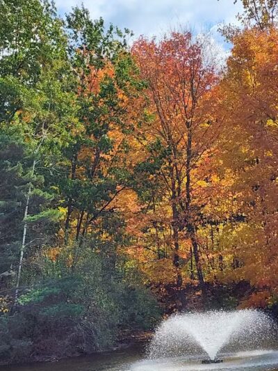 Harbert Community Park - Sawyer,