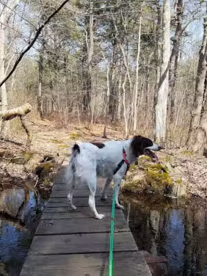 Sans Souci County Park - Sayville, NY