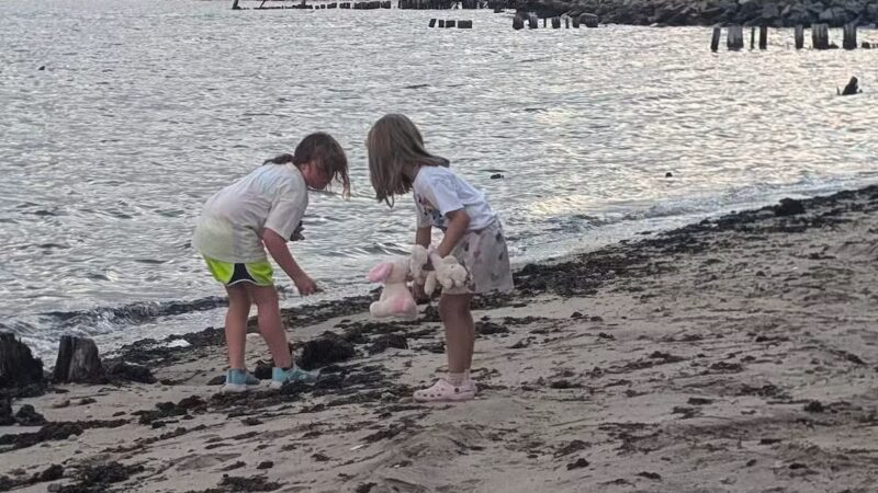 Sayville Marina Park - Sayville, NY