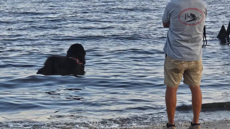 Sayville Marina Park - Sayville, NY