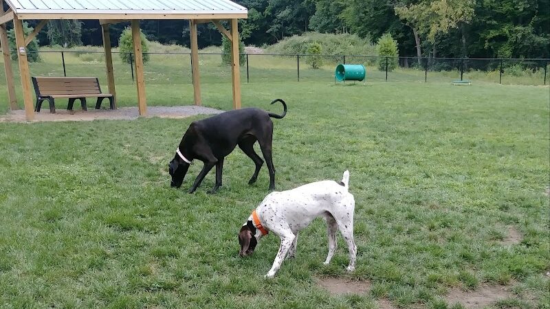 Andersen Dog Park - Schenectady, NY