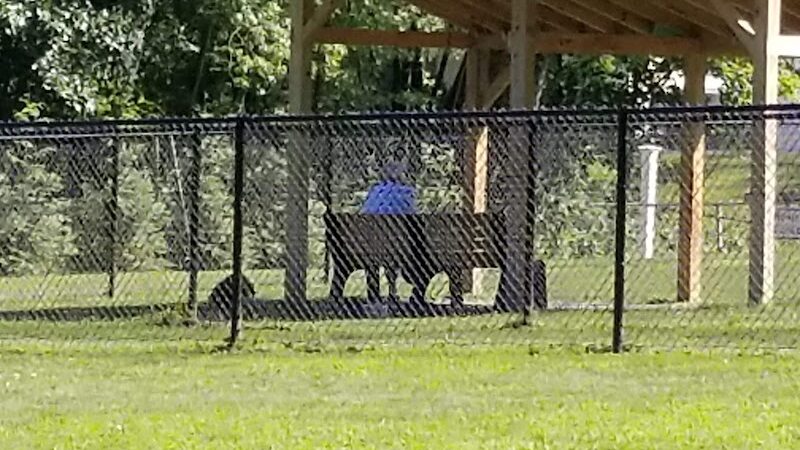 Andersen Dog Park - Schenectady, NY