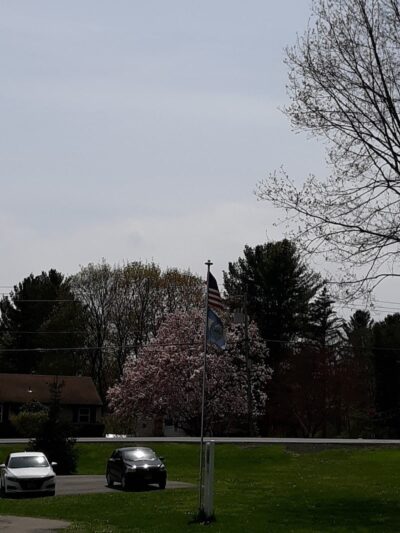 Andersen Dog Park - Schenectady, NY