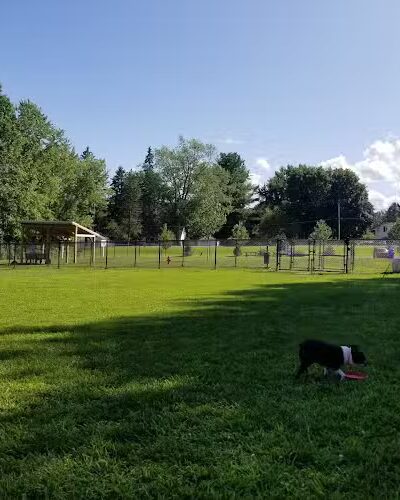 Andersen Dog Park - Schenectady, NY