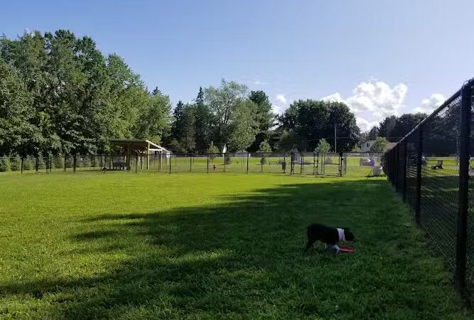 Andersen Dog Park - Schenectady, NY