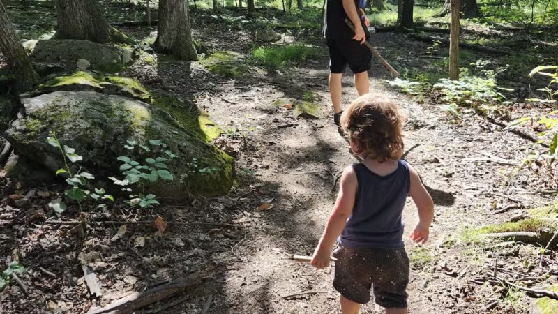 Eva R. Meng Wildlife Preserve and Bird Sanctuary - Schwenksville, PA