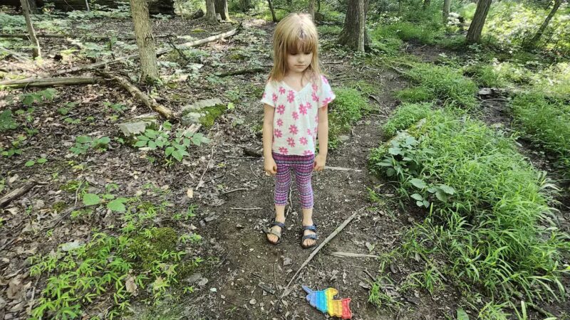 Eva R. Meng Wildlife Preserve and Bird Sanctuary - Schwenksville, PA