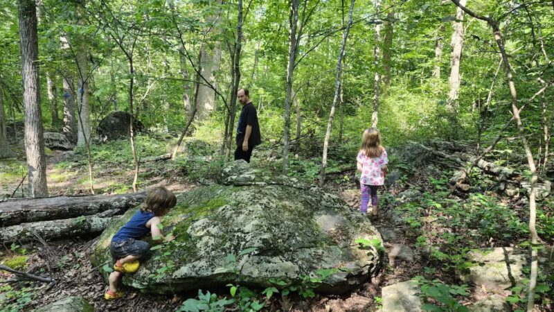 Eva R. Meng Wildlife Preserve and Bird Sanctuary - Schwenksville, PA