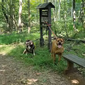 Eva R. Meng Wildlife Preserve and Bird Sanctuary - Schwenksville, PA