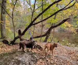 Groffs Mill Park - Schwenksville, PA