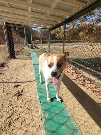 Geneva Township Recreation Center - Scipio, IN