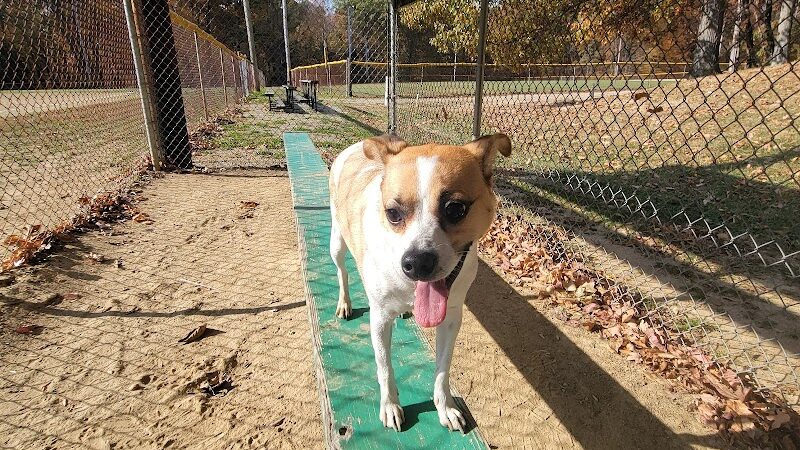 Geneva Township Recreation Center - Scipio, IN