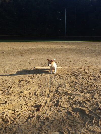 Geneva Township Recreation Center - Scipio, IN
