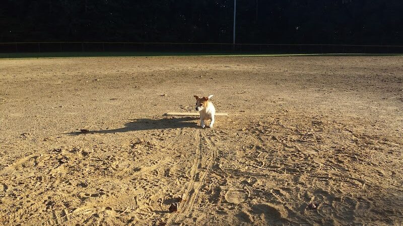 Geneva Township Recreation Center - Scipio, IN