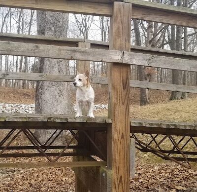 Geneva Township Recreation Center - Scipio, IN