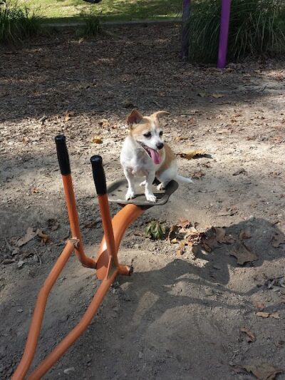 Geneva Township Recreation Center - Scipio, IN