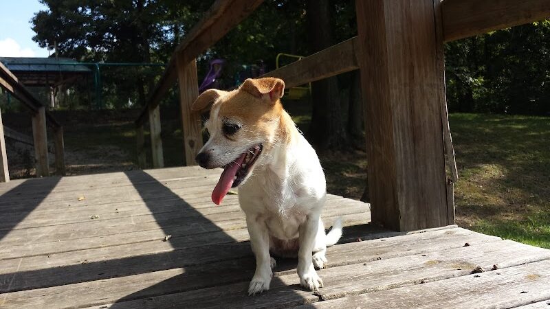 Geneva Township Recreation Center - Scipio, IN