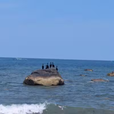 Conservation Park - Scituate, MA
