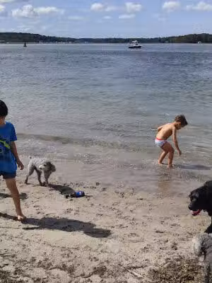 Rivermoor Habitat Park - Scituate, MA