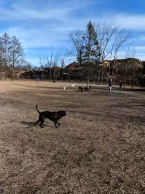 Scituate Dog Park - Scituate, MA