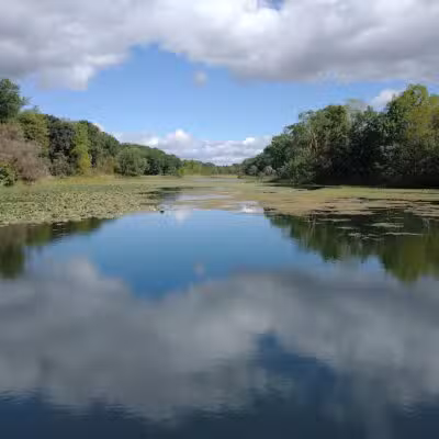 Scotts Mill County Park - Scotts,
