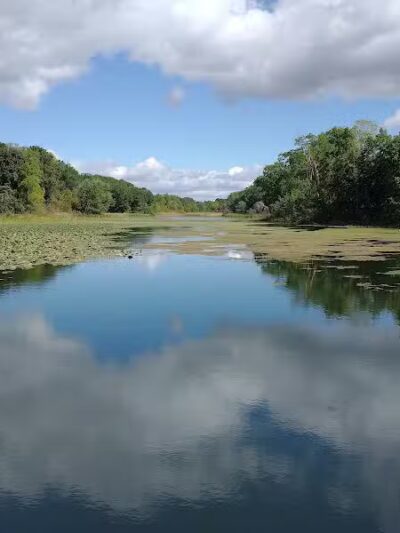 Scotts Mill County Park - Scotts,
