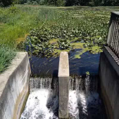Scotts Mill County Park - Scotts,