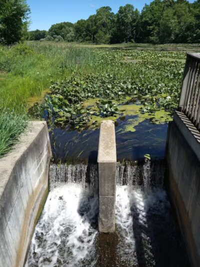 Scotts Mill County Park - Scotts,