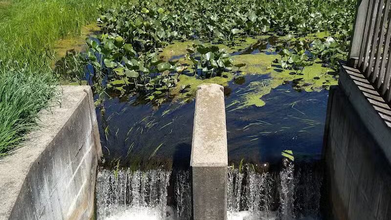 Scotts Mill County Park - Scotts,