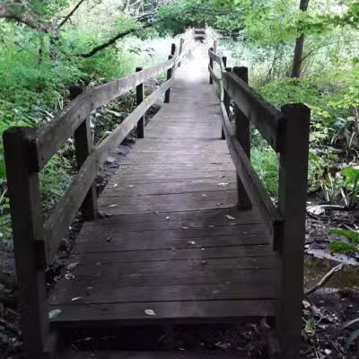 Scotts Mill County Park - Scotts,