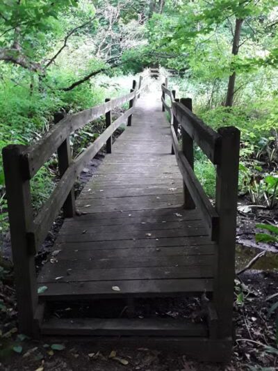 Scotts Mill County Park - Scotts,