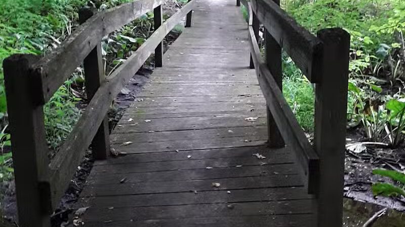 Scotts Mill County Park - Scotts,