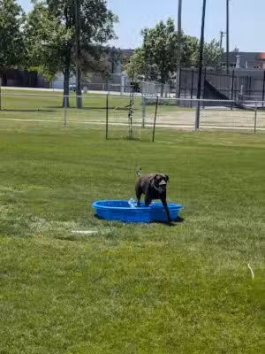 Terry Carpenter Dog Park - Scottsbluff, NE